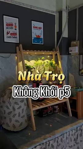 Cần Thơ lại mưa nữa rồi. Nay mấy em trầu bà lớn nhanh. mình tách nhỏ để mấy ẻm có nhà mới. Trưa nay ăn cơm gà gần nhà chỉ 20 cành cô chủ thấy mình dễ thương nên cho mình trái dưa leo. Ở xa gia đình nhưng mình luôn cảm nhận được sự ấm áp của tình người. Cám ơn vì một mai thức giấc ta có thêm một ngày nữa để yêu thương ! #65cantho #phongtrosinhvien #decor #anhthichonha 