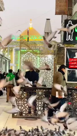 #السلام_عليك_يااميرالمومنيين_علي #قول #مجرب #مروي #عن#الامام_علي_بن_أبي_طالب_؏💙🔥 #من#قاله#كان #مع#محمد_وال_محمد_الطاهرين #ياعلي#ياعلي_مولا_عَلَيہِ_السّلام #شيعة_علي_الكرار #شيعه_الامام_علي_عليه_السلام #الشيخ_ياسين_الجمري #shiatali313💚⚔️ #kadhmawia🪬 #fyp #fypシ #CapCut 