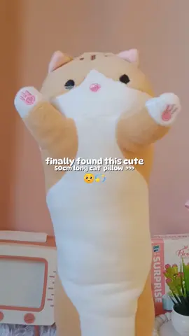 50cm long cat pillow 🩷💫✨#hotdogpillow #pillow #longpillow #stuffedtoy #catplushie #longcatpillow #fyp #trending 
