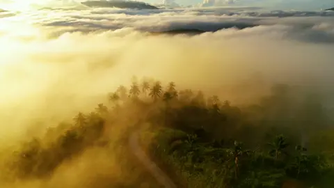 Welcome to Eastern Visayas, Philippines! #EasternVisayas #TravelPhilippines #DJIPhilippines #TourismContentCreator #TravelContentCreator #TravelShootPromote #UnoAdventures @DJI Philippines @Altitude PH @Tourism Philippines @CapCut @CapCut Philippines @Tamron Philippines @Sony