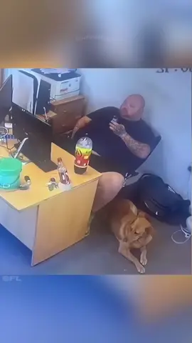 #funnyvideo #humor #laugh #funnyvideos #jokes #memetok #memes #funnyvids #dailyfunnyvideos #funnymemes #funnyvideo #viral