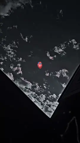 #الامام_علي_بن_أبي_طالب_؏💙🔥 