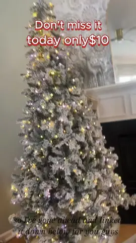 A variety of prices for Christmas Tree#christmastree #christmas 