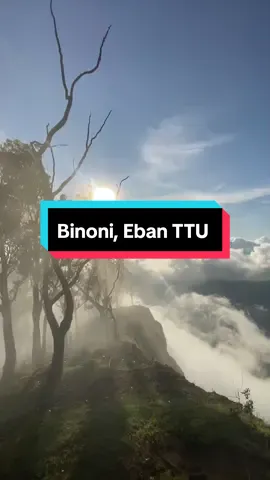 Mt. binoni morning view 🫂🏕️ #nttpride🏝🔥fypシviral #ebanttu #kefamenanuttu 