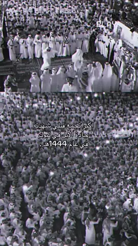 #explore #بلي #بلي_جهينه_حرب_نهد_بني_زيد_اسياد_قضاعه #fypシ゚viral 