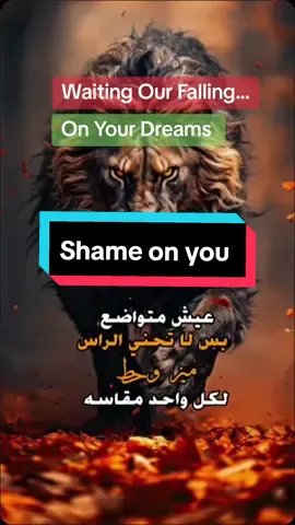 #CapCut that's Us.. heroes never Fall down #انجلترا #هولندا #دويتو #explore #viral #fyppppppppppppppppppppppp #follow #forupage #edit #نيوزيلندا 