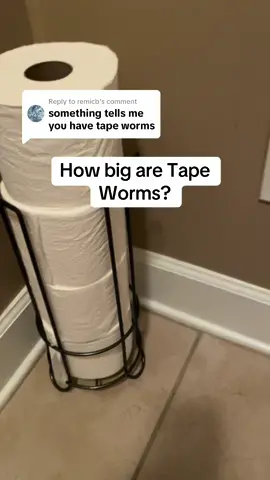 Replying to @remicb The odds of getting tape worms is pretty low but if you do they can get pretty big. #tapeworms #pinworms #digestion #intestines #guthealth #fy 