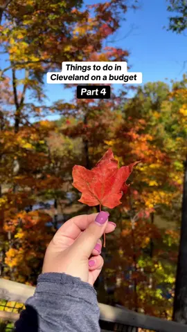 What can you do in Cleveland under $25? Well right now is the perfect time to check out the fall foliage around Northeast Ohio!  Stop 1: ☕️ We went to Goodkind Coffee to get a pumpkin chai and butterbeer lattes for $6. 📍15226 Madison Ave, Lakewood, OH  Stop 2: 🚗🍁🍂Drove through the @clemetroparks  Stop 3: 🥾🍁📍The Rocky River Nature Center Fort Hill loop  located at 24000 Valley Pkwy, North Olmsted, OH  Other spots to enjoy the fall foliage around Northeast Ohio?  📍Cuyahoga Valley National Park 📍Edison Woods  📍Brandywine Falls  📍Holden Arboretum @Holden Forests & Gardens  📍 Lake County Metroparks @Tour Lake County OH  📍 19 covered bridges across @ohiowinecountry  Where should we go next?  #cravecle #cleveland #thisiscle #clevelandohio #clevelandonabudget #northeastohio #ohio 
