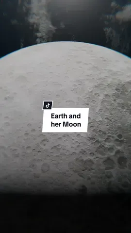 Do you like my grid? #moon #phases #earth #solar #animation #3d #space #Science #Astronomy 