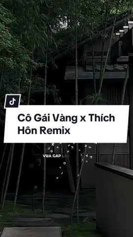 Cô Gái Vàng x Thích Hôn Remix#CapCut #bachtuong #nhachaymoingay #bachtuong205 