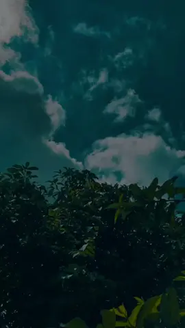 Sajna Tu Wasiye Je Door Sajna 🥺♥️#adnan_baloch16#adnanesticx#haiifa_shah1#haiifaesticx#fyp#foryou#foryoupage#song#lyrics#aesthetic#viral#views#newacc#1millionaudition#haiifaadnan#fypシ 