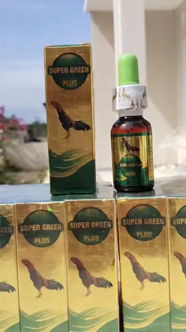jamu ayamnya bosku #supergreen #jamuayam #ayamjago #ayambangkoksuper 