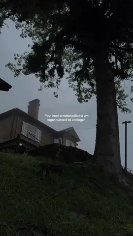 🌧️🍃 • • • • • • • • • • • • #saopaulo #sp #aesthetic #paranapiacaba #rain #rainyday #forest #fog #moody #vibes #twilight #fyp #viral_video #frases_aesthetic 