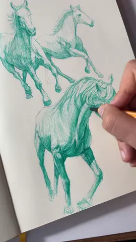 I always loved making horse sketches #sketch #drawings #artist #pencilart 