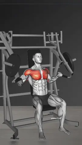 The Best Chest & Back Workout at Gym #chestworkout #backworkout #bodybuilding #gym #workout #Fitness #fyp #viral 