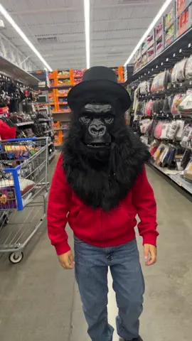 #fyp #foryoupage #parati #walmart #walmartshinanagans #gorilla #labrujita #humor #chango #halloweencostume #halloweenlook    #halloweendecor #trickortreats 
