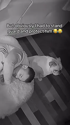 Ummmm whats going on here!! #fyp #sleep #sleepy #bed #fyp #fypp #fypage #foryourpage #viral #funny #bulldog #englishbulldog #dog #dogs #dogtok #dogsoftiktok #dogvideos #puppy #puppytok #puppies #puppiesoftiktok #pets #animals @AS91 @Mikeylorenz0 