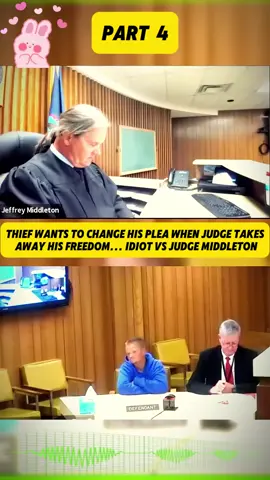 #court #courtroom #crime #judge #law #crazy #sovereign #usa #trending #foryou 