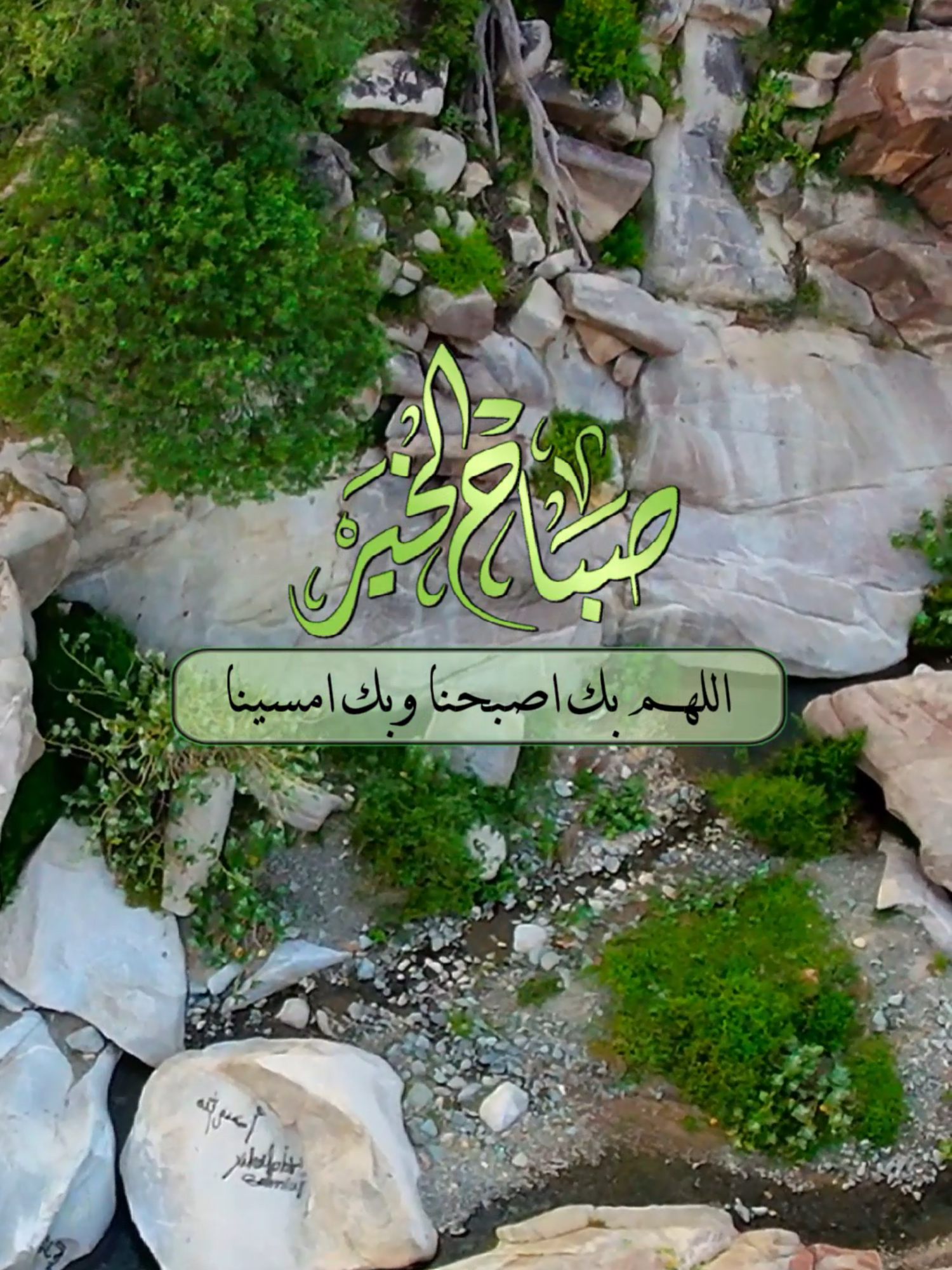 #صباح_الخير #صباح #صباحكم_معطر_بذكر_الله