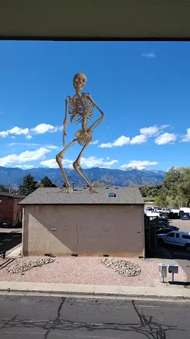 dancing skeleton man dancing on top of the neighbors house. Lol #funny #october #halloween 