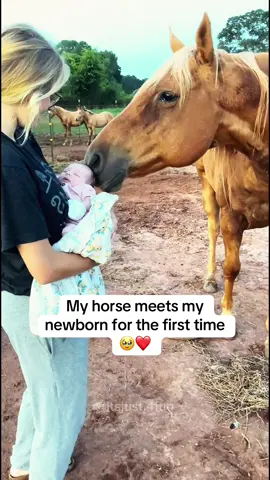 A horse meets a newborn for the first time 🥰 Cute baby with horse videos #baby #cutebaby #horse #babyfever #fyp 