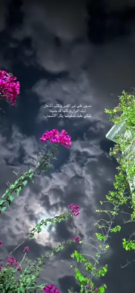 نسهر على نور القمر ونكتب أشعار  ذيك البراري كلها لك حنينا تبكي عليك ضلوعها وكل الاشجار. #القمر #قمر #الليل #شبيت_ضوء_الذكريات_وحكينا #CapCut #الشعب_الصيني_ماله_حل😂😂 #fypシ 