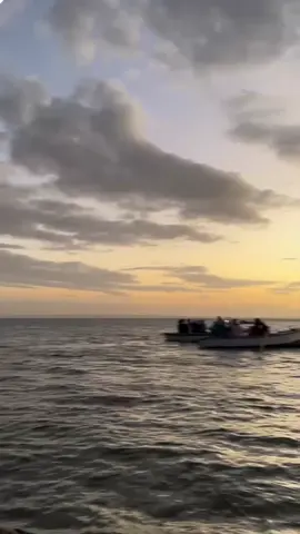 #الفيوم #رحلات #وادي-الريان##فلوكه #الريان #جو🦊#🦊🦊 