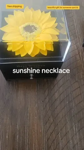 you are my sunshine necklace. Great gift idea for someone special.  #jewelry #necklace #sunshinenecklace #rosegoldnecklace #sunflowerneclace #giftideas #gift #christmasgift #christmas #fyp #MomsofTikTok #falldealsforyou #tiktokshopfallsale #mothersday 