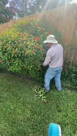 #fyp #lawncare #lawntok #lawntiktok #yardero #lawn #parati #foryoupage 