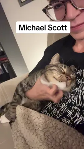 michael says anything for chin rubs 😭😭  #catsoftiktok #cats #informationtechnology #engineer 