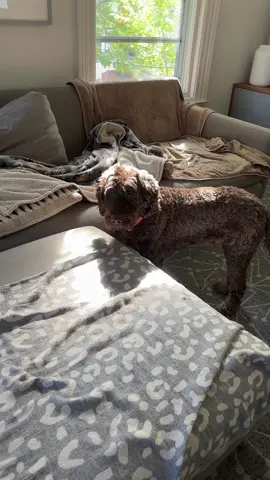 miss ma dog 😢😓😓😢😥