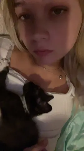 KITTYYYYY