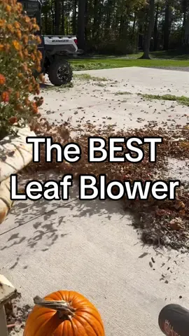 This is THE BEST leaf blower that l've ever used.. and l've used A LOT! Great for fall cleanup and blowing light snow. Linked on my Amazon storefront - in bio.  #fall #Outdoors #outdoorprojects #leafblower #leaves #fallleaves #leafcleanup #amazon #amazonfinds #Home #homefinds #fallmusthaves 