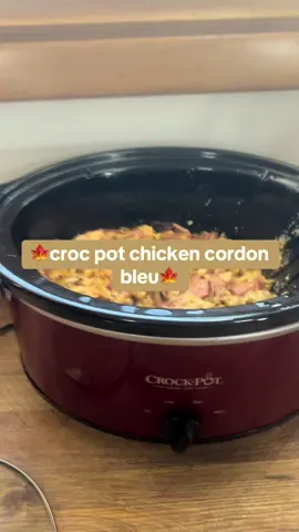 Were your afraid of the croc pot meal as a kid? #crocpotrecipe #crocpotmeals #easydinnerideas #easymealideas #easydinners #creatorsearchinsights 