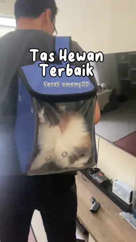 #taskucing #tasanabul #tasanjing #taskucinganjing #diskon50persen #vidioviral #tashewan #racuntiktokshop #racuntiktok #spillracuntiktok #tiktokindia #tiktokviral #gratisongkir #cashbackchallenge #tiktokshop #diskontiktokshop 