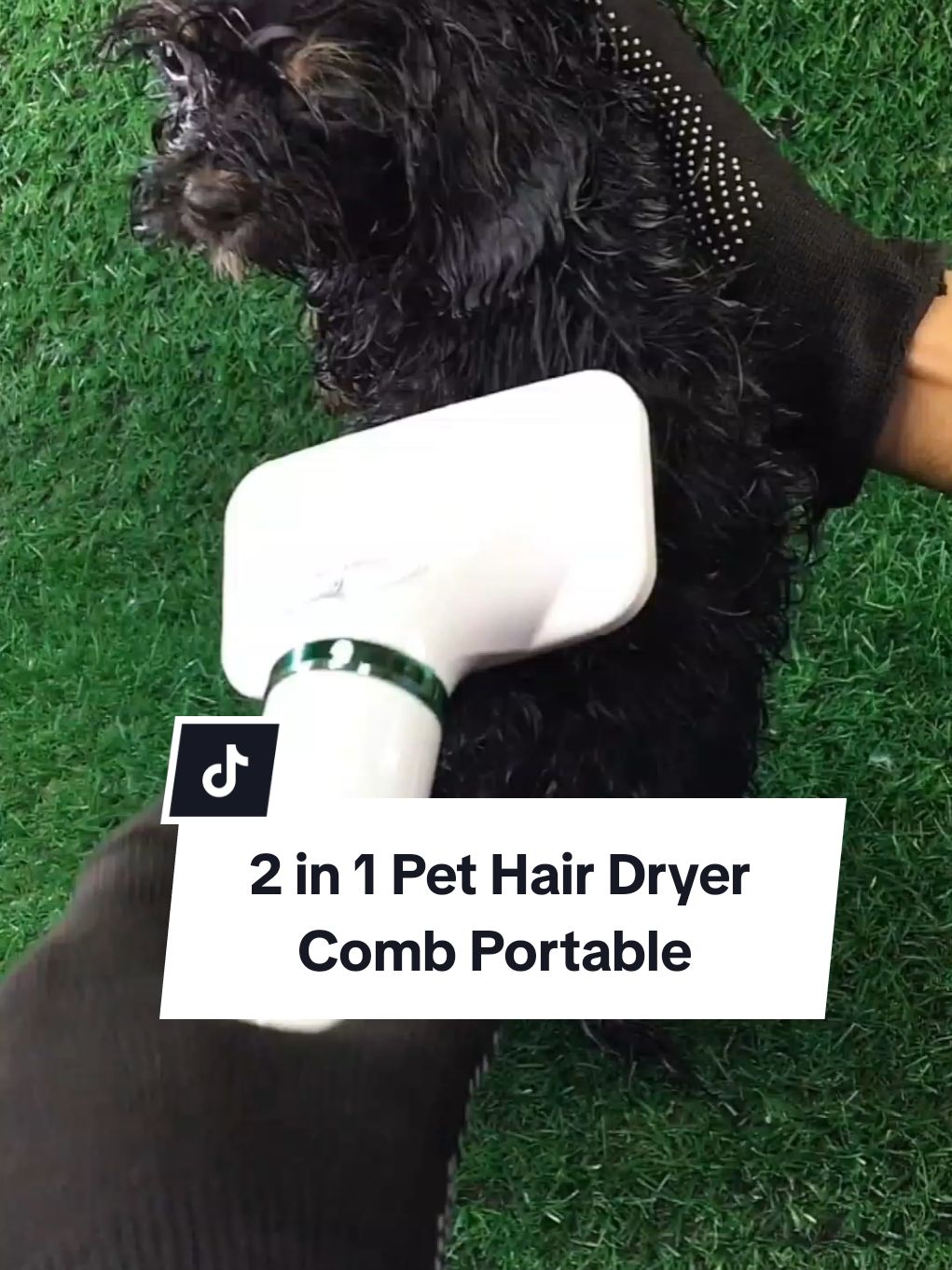 2 in 1 Pet Hair Dryer Comb Portable  #2in1pethairdryer #2in1pethairdryercomb #pethairdryercomb #petcomb #dogcomb #dog #doglover #dogs #dogsoftiktok 
