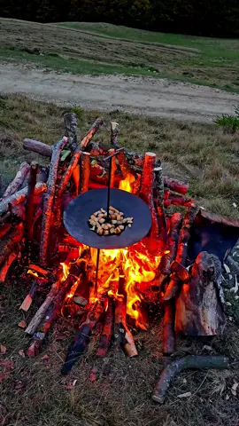 #mountains #camping #cold #morning #fire #eat #carpati #fall #winter #overlanding #travel #snow #4you #audi #offroad #golden #sunset #lift #peace #life #orange #carpatians #fire #jungle #trending #real #life #subcarpati #lautareasca #vin #cool 