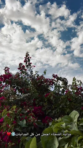 . توافقوني الري؟🤎#اكسبلور #الشتاء #الشتاء_البرد_اجواء_شتويه #صلاح_الدين #اجواء_الشتاء #اكسبلورexplore #ستوريات #fpy #explore #بيجي #تكريت #ماجد_المهندس #اليالي_برد #❄️ #الريف 