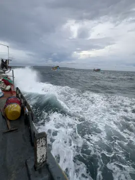 Huy vọng sau cảnh đông tàn, sẽ thấy được cảnh huy hoàng ngày xuân 🥰🥰 #72 #xhhhh