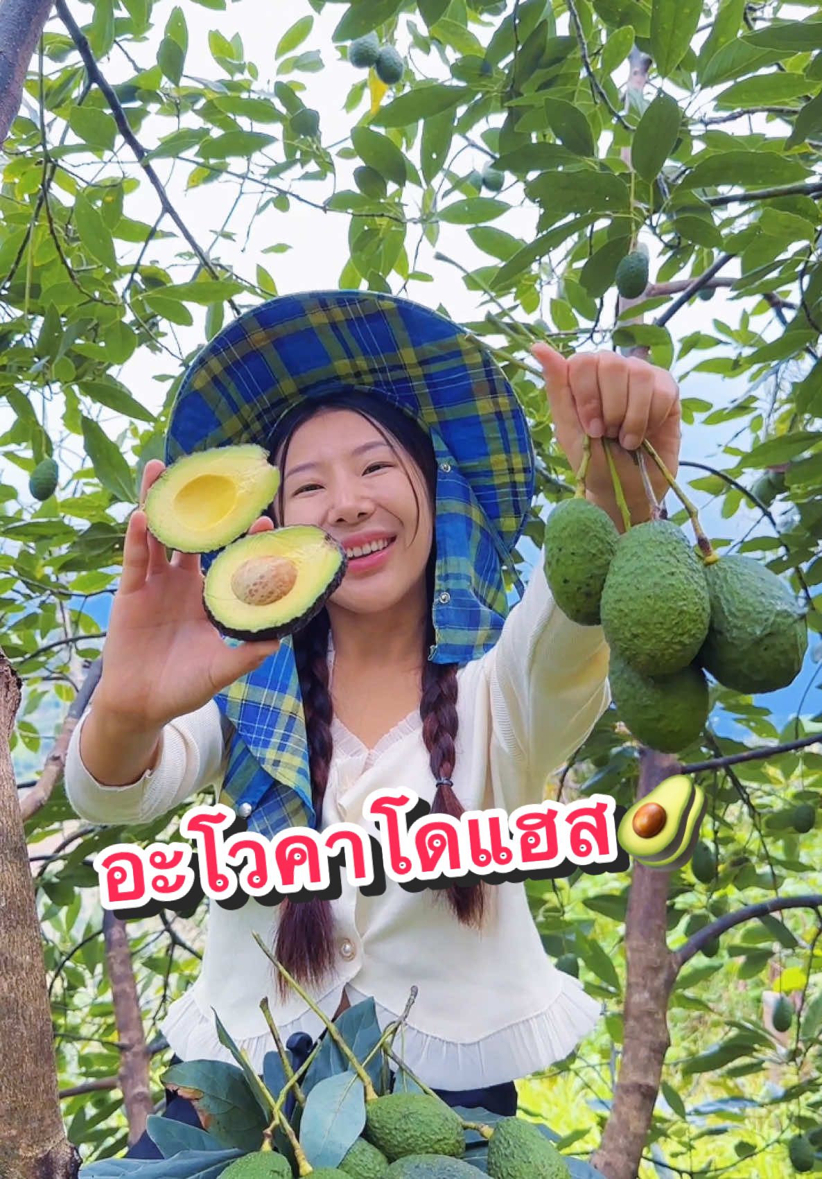 ได้ลองจะติดใจ king avocado hass ที่สุดของที่สุดแล้วค่ะ😍🥑#แฮส #อะโวคาโด #hass #avocado 