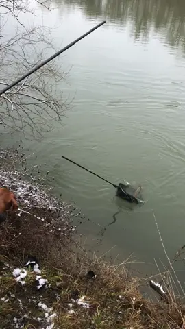 Chris tried to tackle the fish 🎣💀🫡 #dedication #fishingtiktoks #fail #fyp #foryoupage #fürdich #fürdichpage #viral #absturz #beer #fischen #friends #fish 