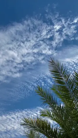 الشتاء عاد معتذراً🌧️⛈️🤎🫂      شلون الجووو يمكم