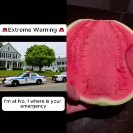 #911calls #police #crime #911call #prison #usacrime #911