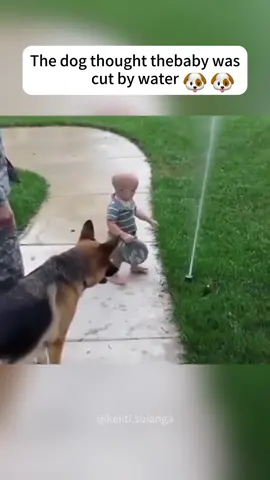Dog are baby forever good friends#dog #foryou #lovestory #Love #baby 
