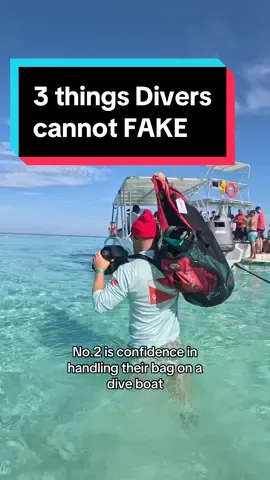 Divemasters & Instructors can usually tell experience & skill level well before diving. A good diver should be honest about their skill, and a good dive leader ahould make you feel comfortable when doing so ✅👌🤿 #scubadiving #leadership #divemaster #boatdiving #divetravel #divetrip #scubadivingwithkenny