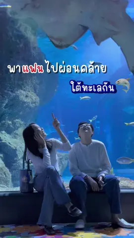 พาแฟน ไปฮิวใจใตะทะเลกัน🤍  วิธีจองบัตรราคาถูก เราเข้าหลัง 4 โมงเย็นลด 20%  เหลือ 456 จองออนไลน์ในเว็บถูกกว่า #เอสเอ้ #ทอม #คบผู้หญิงโครตมีความสุข  #ฮิวใจ #sealifebangkok ##อควาเรียม#sealife  #สยามพารากอน#นิทรรศการศิลปะ#ที่เที่ยวกรุงเทพ