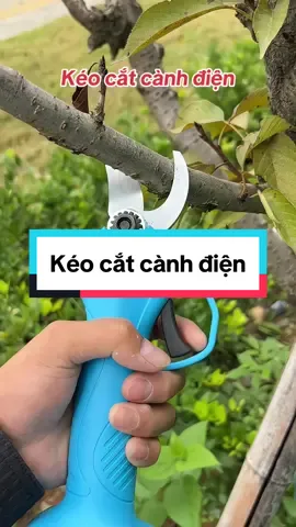 Kéo cắt cành điện. #xuhuong #trending #viral #keocatcanh #keocatcanhcay #keocatcanhchaypin #keocatcanhnhatban #bachhoaxanhgiadinhviet 