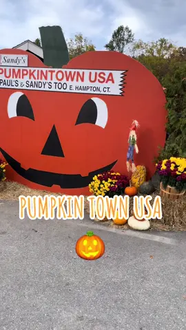 Such a cute place! They have a fun play area for kids too! 🎃🎃#pumpkintownusa #pumpkin #pumpkintown #pumkinseason #thingstodoinct #connecticut #kids #fall #fallactivities #fallactivitiesct 