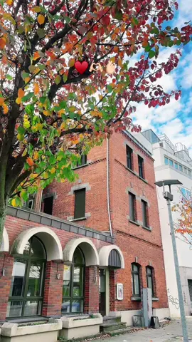 #fyp #foryou #foryoupage #viral #viralvideo #viraltiktok #germany🇩🇪 