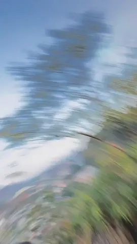 Thích skinship zữ luôn:> #CapCut #xuhuong #chiyeuminhanh 